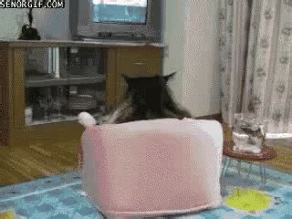 Cat Watching GIF - Cat Watching Tv - Discover & Share GIFs