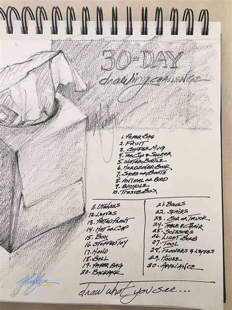 30-Day Draw-What-You-See Drawing Challenge - Alvalyn Creative Illustration