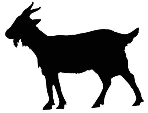 Boer Goat Silhouette | Free download on ClipArtMag