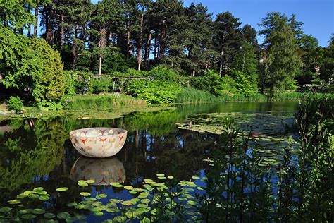 University of Copenhagen Botanical Garden | Broke Tourist