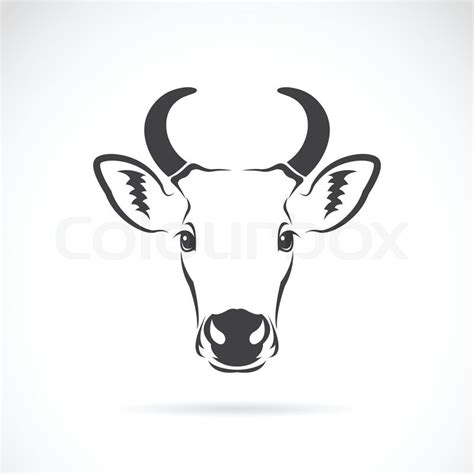 Vector image of an cow head on white ... | Stock Vector | Colourbox