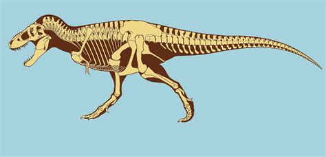 Controversial T. Rex Soft Tissue Find Finally Explained | Live Science