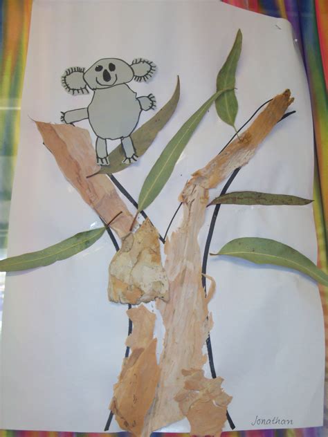 Have the children draw a step by step koala then use real bark and ...