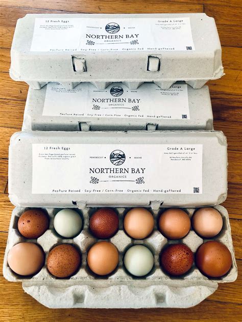 Free-range Chicken Eggs – Northern Bay Organics