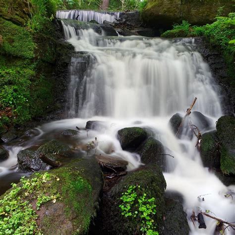 Rivelin Valley Nature Trail - All You Need to Know BEFORE You Go (2024)