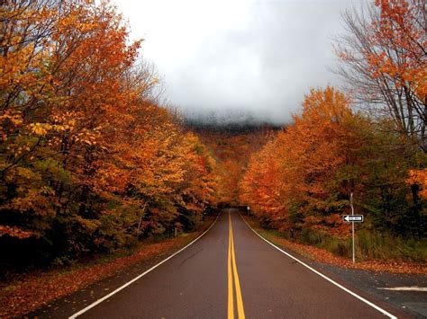 Vermont-Fall-Foliage-Stowe - Sugar Tours