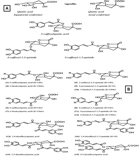 A) Lactone formation from chlorogenic acid. (B) Structure of lactones ...