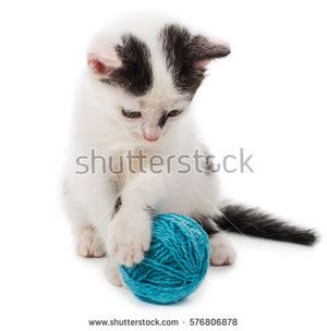 kittens playing with yarn - Kittens Photo (41551182) - Fanpop