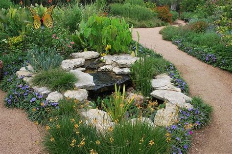 Natural Gardener, Austin, TX | Xeriscape, Texas landscaping, Water wise ...