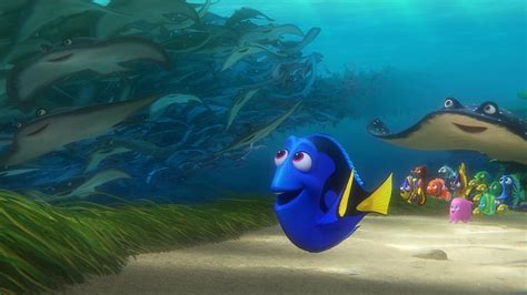 HD wallpaper: Movie, Finding Dory, Dory (Finding Nemo), Mr. Ray ...