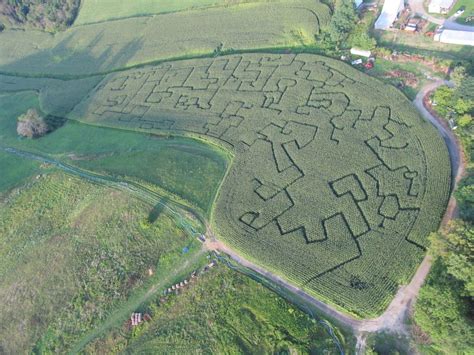 Jewett farm builds corn maze to raise money - Farm and Dairy