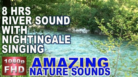 Birds singing & water sounds - 8 hrs river sound, nightingale singing ...