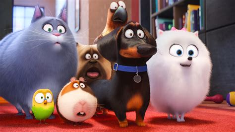 Teaser Trailer For THE SECRET LIFE OF PETS Animated Movie — GeekTyrant