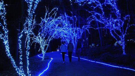 Holiday Lights tradition at Garvan Woodland Gardens | Arkansas.com