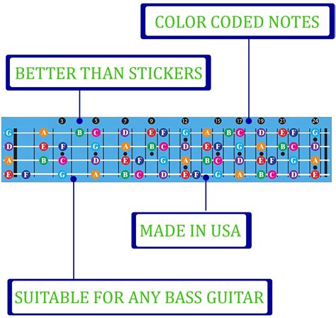 Color Coded Bass Guitar Fretboard Note Chart - Quality Music Gear