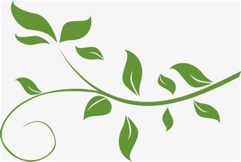 Leafy Vine PNG Picture, Fresh Green Leafy Vine Leaves, Vine Clipart ...