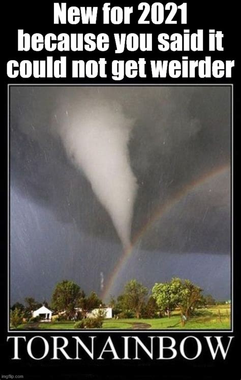 tornado Memes & GIFs - Imgflip