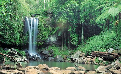 The Gold Coast Hinterland Might Be Australia’s Best-Kept Secret