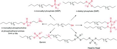 Phosphate Ester Synthesis