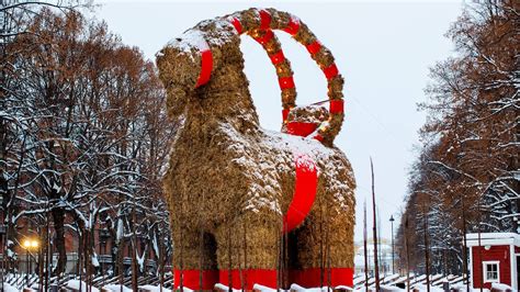 Nya hotet mot Gävlebocken – blir uppäten: ”Inte roligt” | Sverige ...