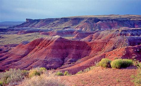 Where In The US Is The Painted Desert? - WorldAtlas