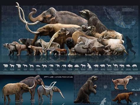 Ice Age extinction event – Tracing Origins