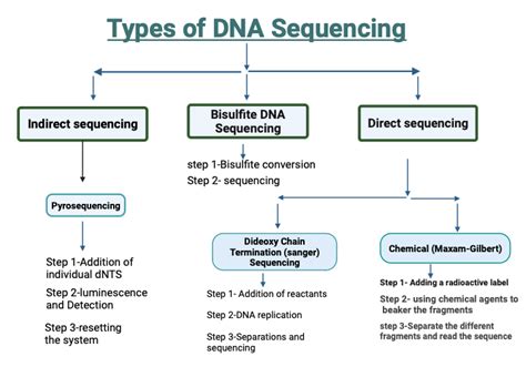 Allosteric Enzyme Kinetics | BioRender Science Templates