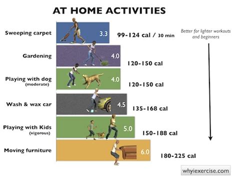 Metabolic equivalent: Which physical activities burn more energy?