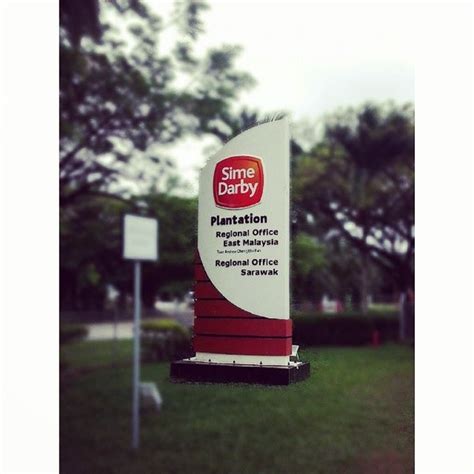 sime darby plantation in sarawak - Andrea Hardacre