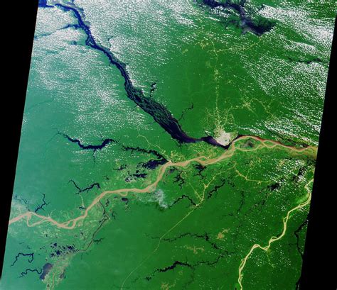 Satellite Image, Photo of the Convergence (Rios Solimoes and Negro ...