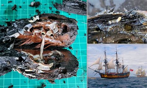 Shipwreck off Rhode Island believed to be Captain Cook's HMS Endeavour ...