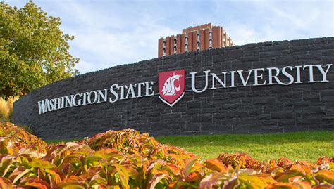 U.S. News ranks WSU Global Campus among nation’s best online degrees ...