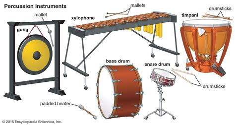 Names Of Percussion Instruments