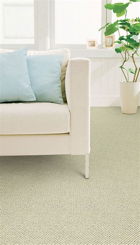 Carpet Care - Couristan