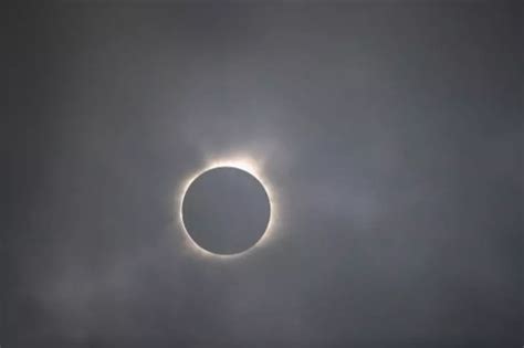 Total Eclipse 2024 Buffalo Ny - dawna tommie