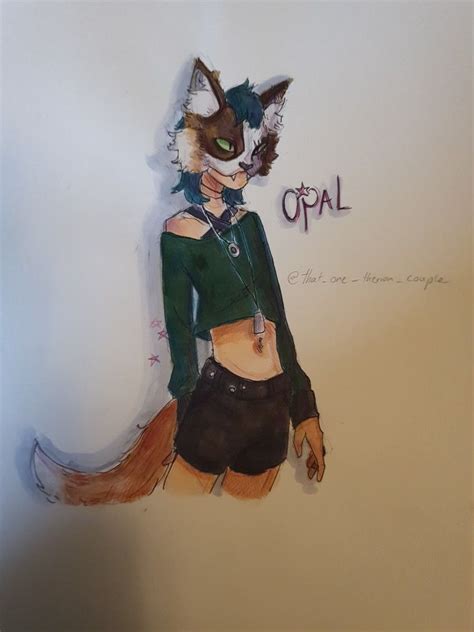 Opal fanart in 2024 | Furry clothes, Warrior cat, Furry costume