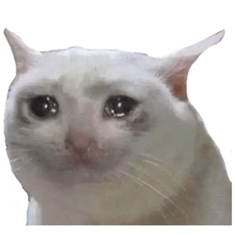 Gato Llorando Meme Png Images Hd Png Play | The Best Porn Website