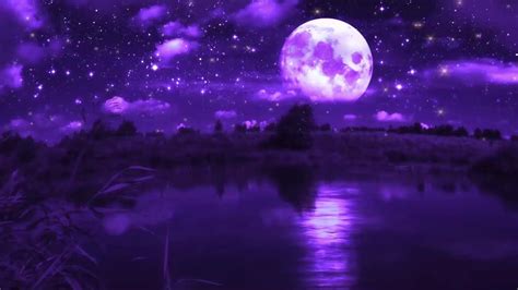 Purple Moon Live Wallpaper - WallpaperWaifu