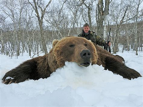 Kamchatka Brown Bear | ProfiHunt : ProfiHunt