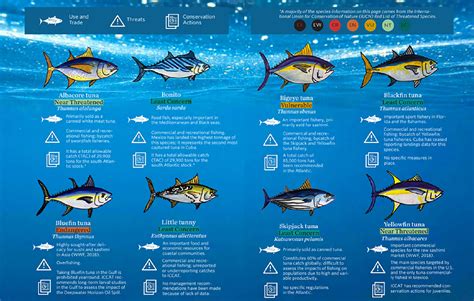 Tuna Conservation in Gulf of Mexico | Marxan