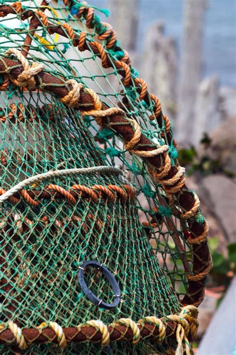 Crab Pots stock photo. Image of cage, fish, basket, background - 44009196