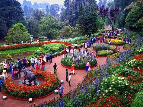 Visit These 6 Beautiful Botanical Gardens Of India