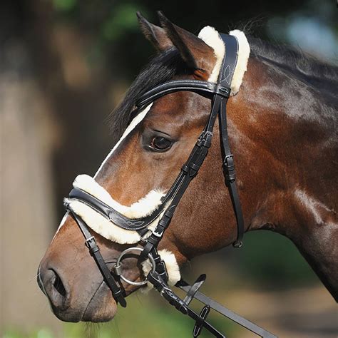 Kavalkade Bridle Ivy lambswool, flash noseband | English horse bridle ...