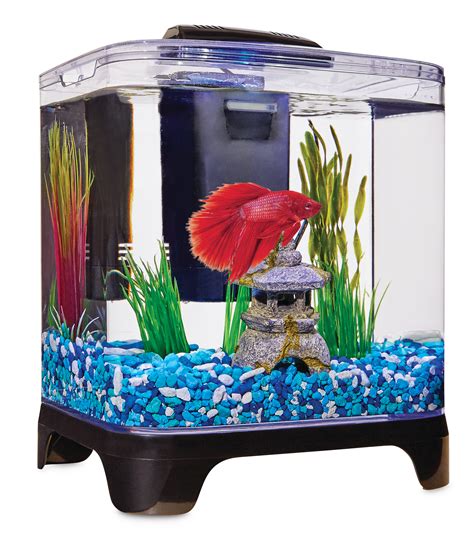 Betta Fish Filter : Amazon Com Penn Plax Betta Fish Tank Aquarium Kit ...