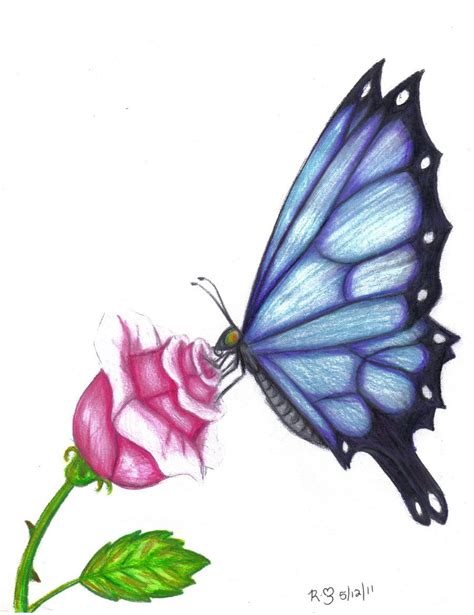 View 24 Easy Simple Butterfly Drawing With Colour - greatcoursegraphic