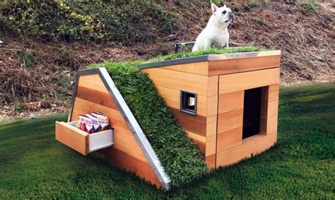 Cool Dog Houses With Modern Designs, Fancy Features and Comfort