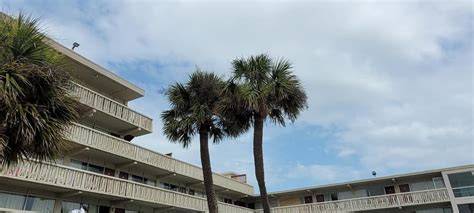 10 Best Pet-Friendly Hotels in Myrtle Beach - Great Pet Living