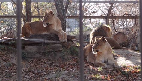 Topeka Zoo - Topeka, Kansas