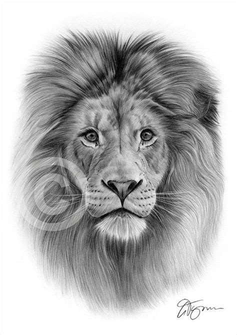 Impresión de dibujo a lápiz Big Cat LION retrato animal - Etsy España ...