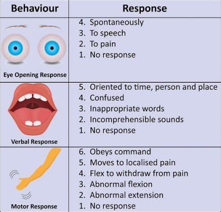 Glasgow Coma Scale (GCS) Made Easy for Occupational Therapy – Bonus ...